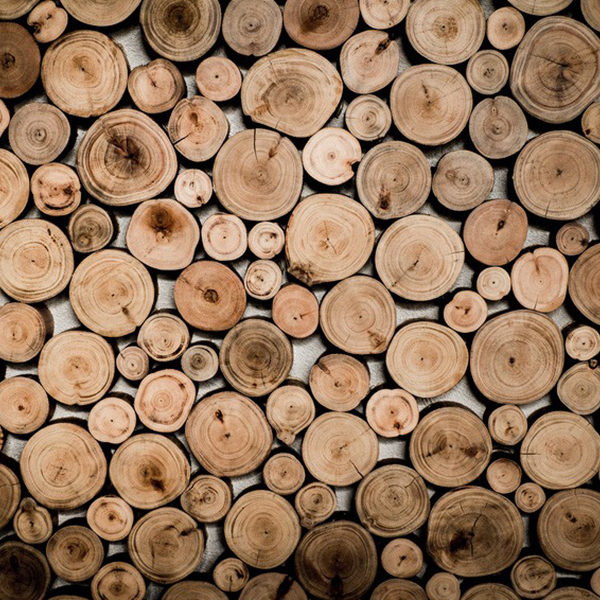 Eine kleine Massivholz Holzkunde
